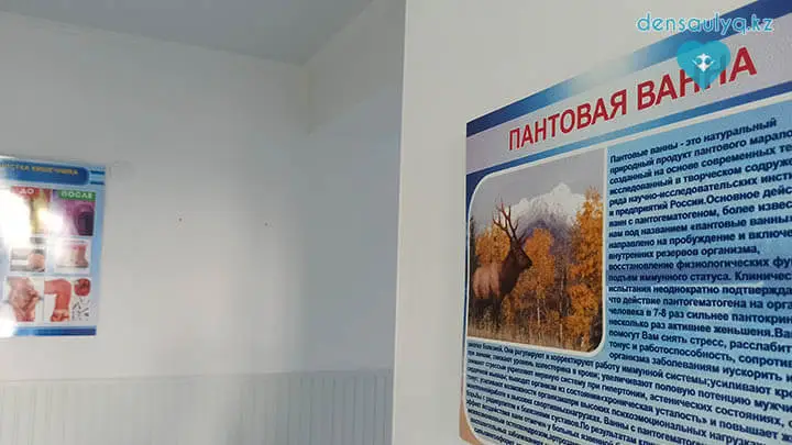 Лечебный корпус санатория Дархан Сарыагаш Лечебный корпус санатория Дархан Сарыагаш